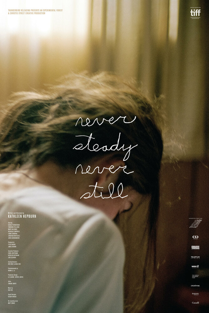 Never Steady, Never Still (2017)