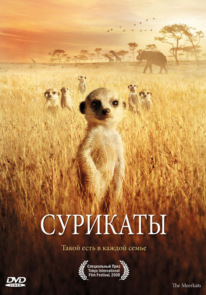 Сурикаты (2007)