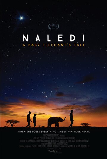 Naledi: A Baby Elephant's Tale (2016)