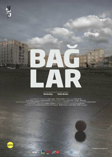 Baglar (2016)